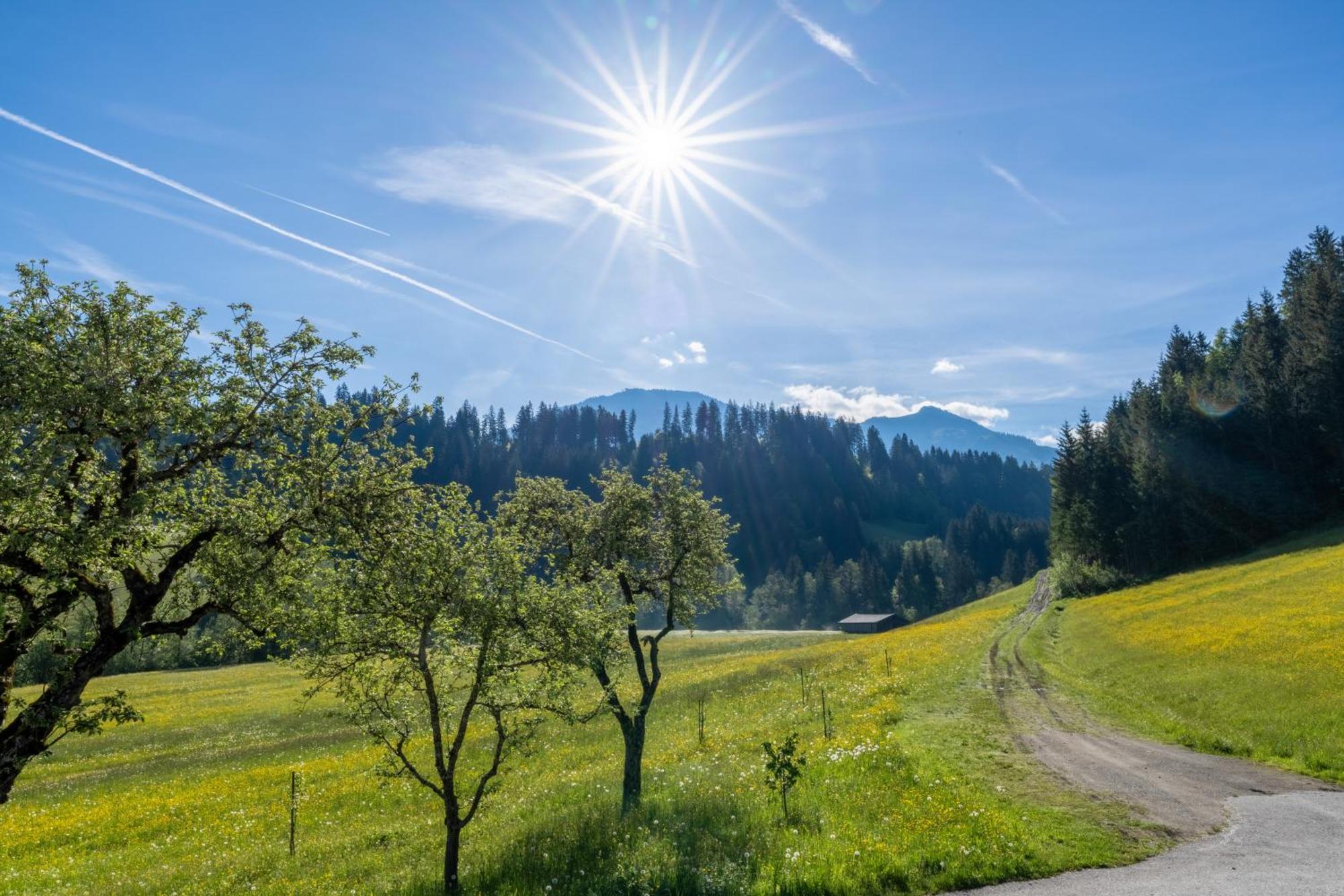 Getznerhof Villa Westendorf Dış mekan fotoğraf